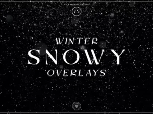 snowy overlays1