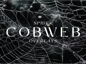 spider cobweb overlays1