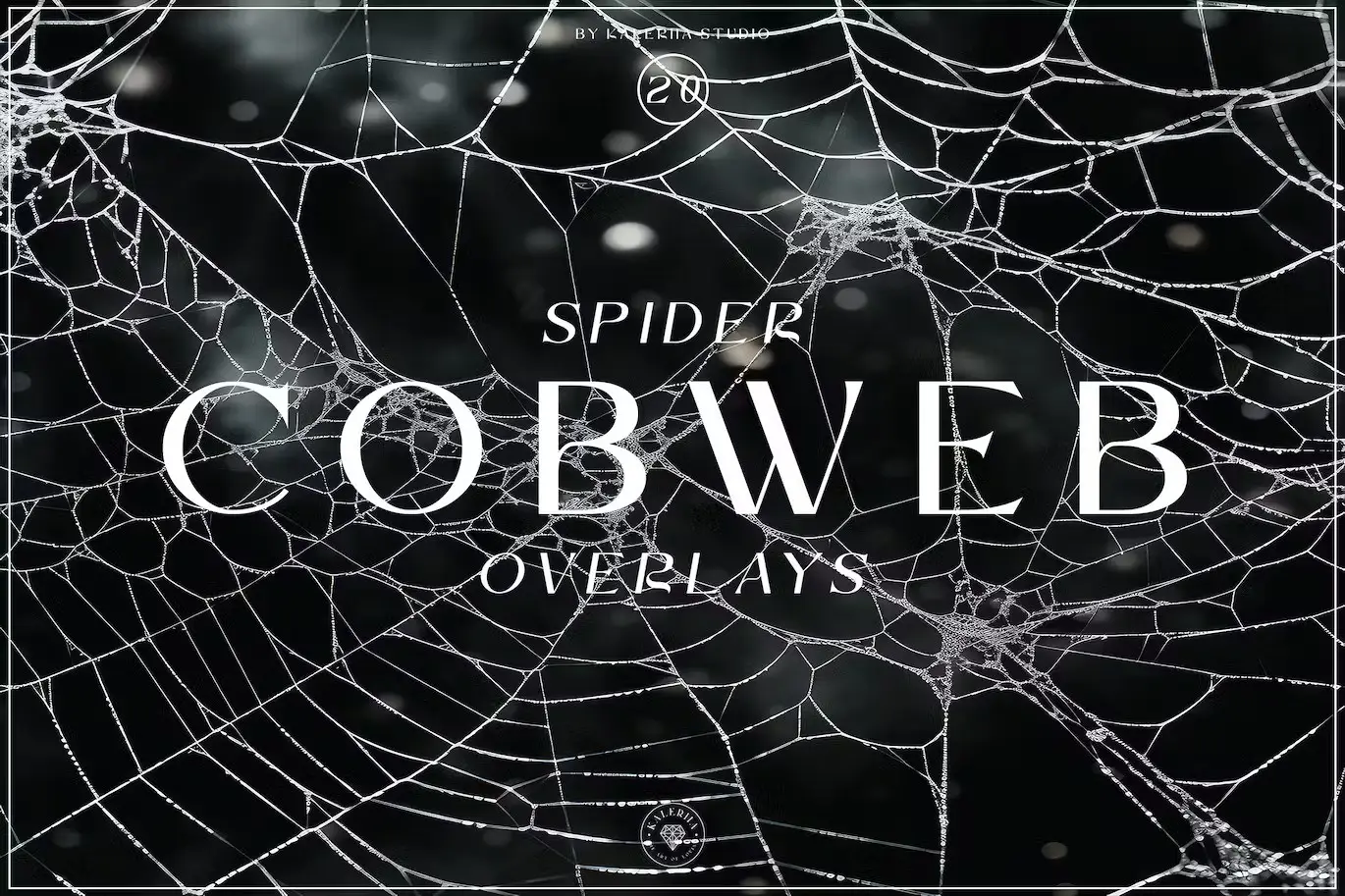 Spider Cobweb Overlays