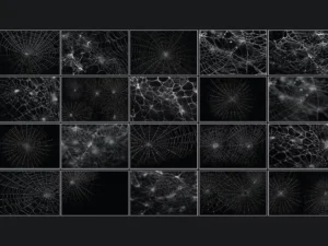 spider cobweb overlays3