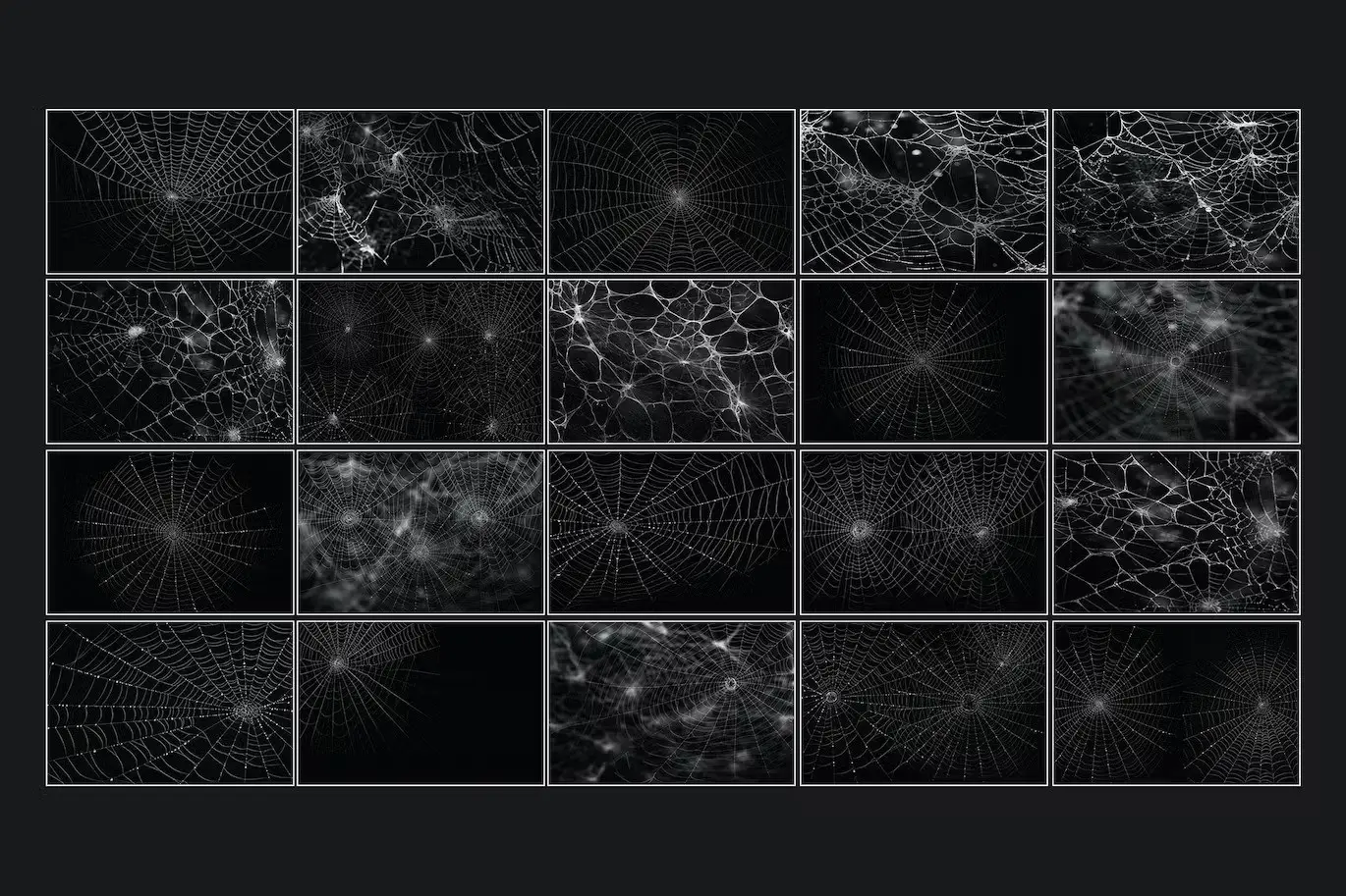 Spider Cobweb Overlays