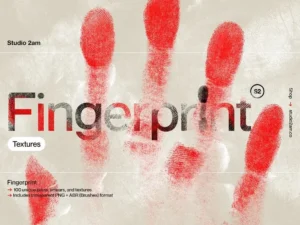 studio 2am fingerprint