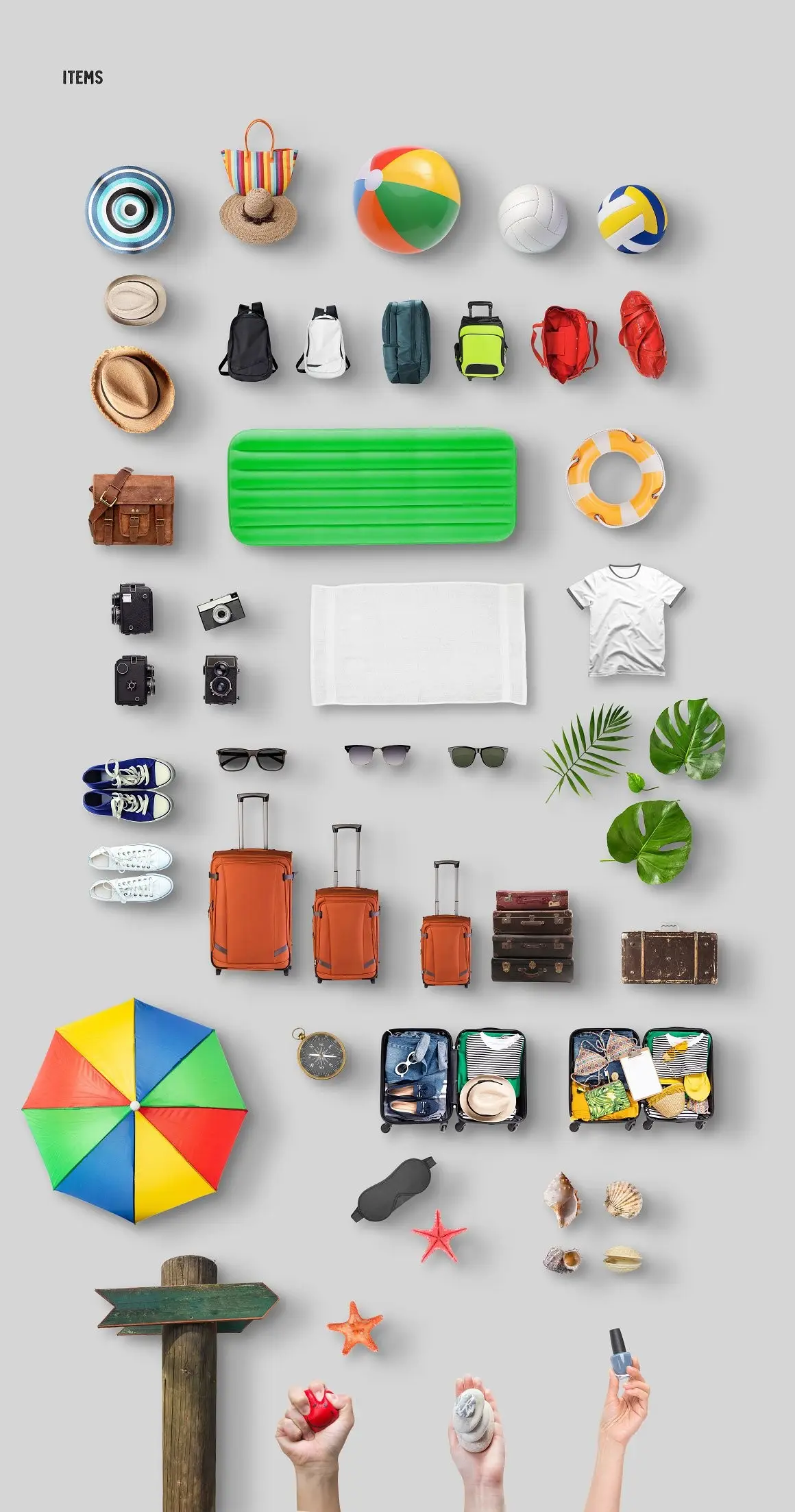 Summer Scene and Mockup Creator