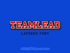 teamlead1