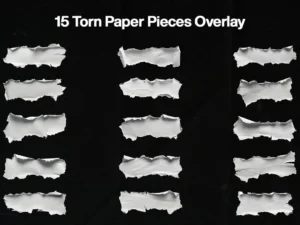 torn and ripped paper pieces overlay2