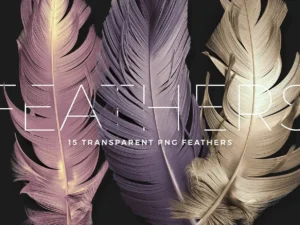 transparent feathers overlays1