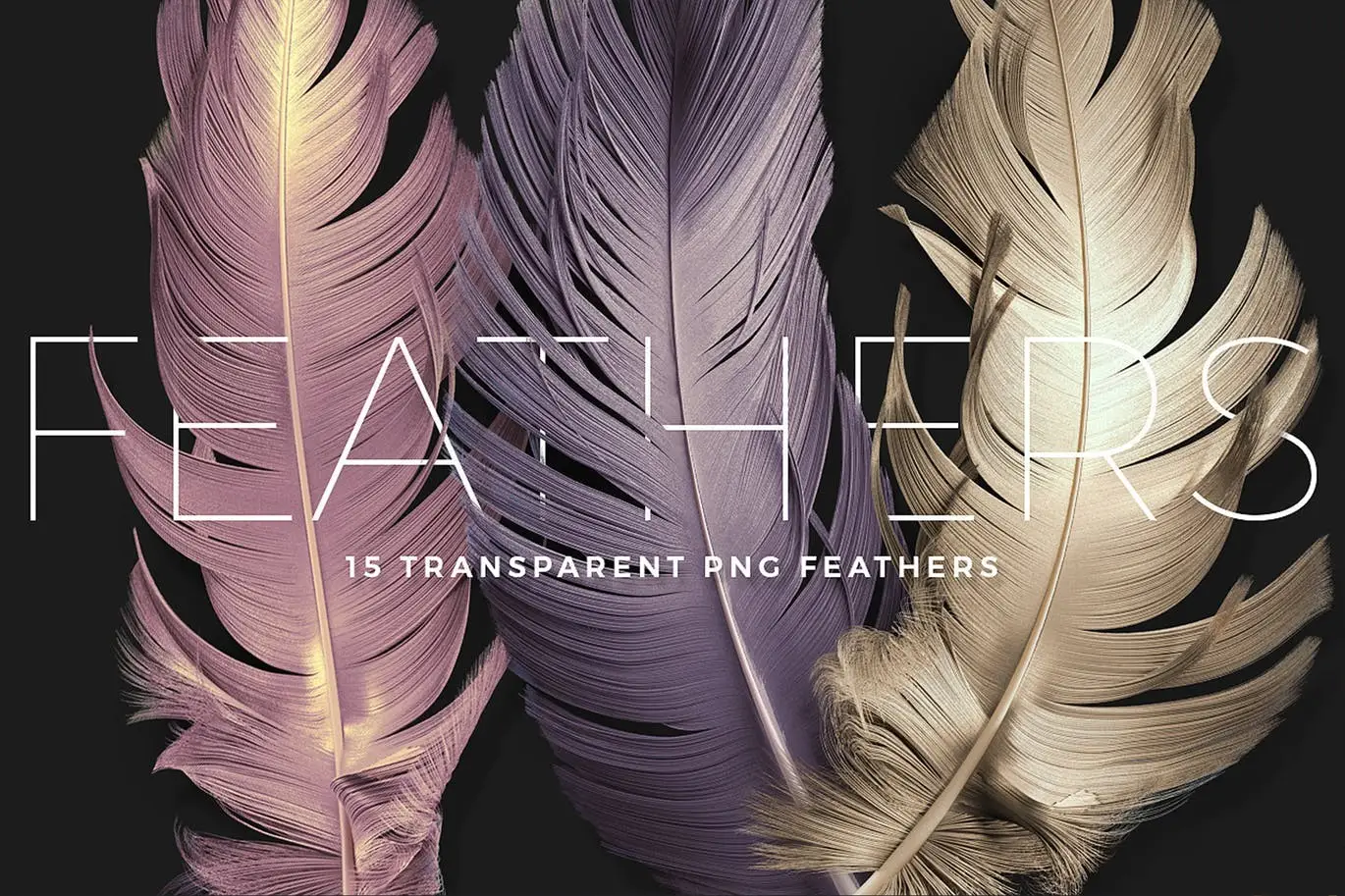 Transparent Feathers Overlays