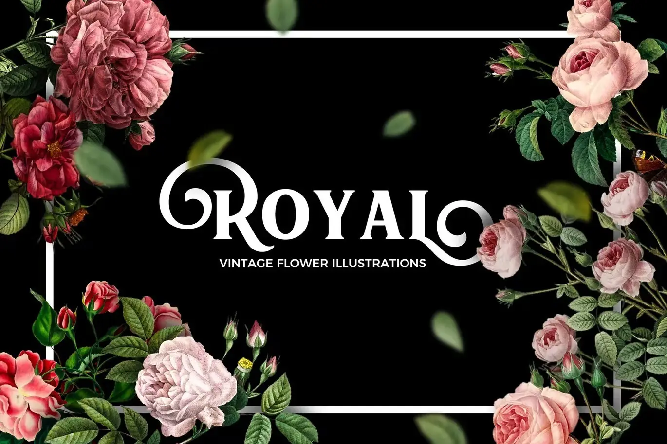 Adobe Illustrator Backgrounds Photo Overlay Bundle - 23 Overlays 7 vintage flower clipart bundle1
