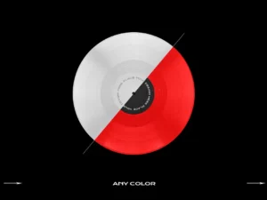 vinyl mockup bundle template 52