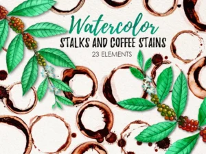 watercolor coffee stains and stalks1