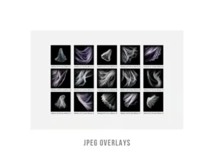 wedding veil transparent png photo overlays3