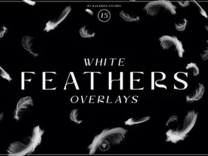 white feathers overlays1