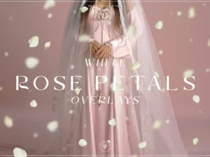 white rose petals overlays1
