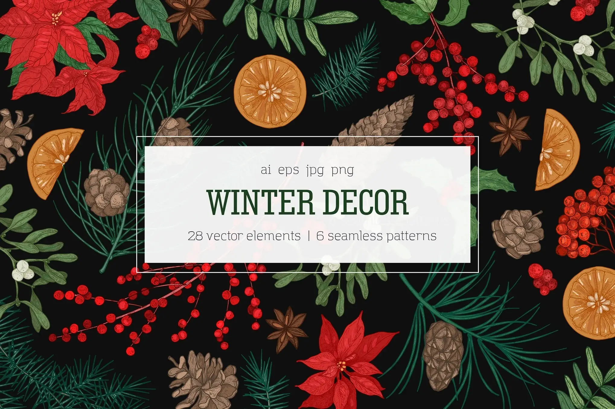 Winter plants, hand drawn set + seamless patterns 6 winter plants hand drawn set seamless patterns01
