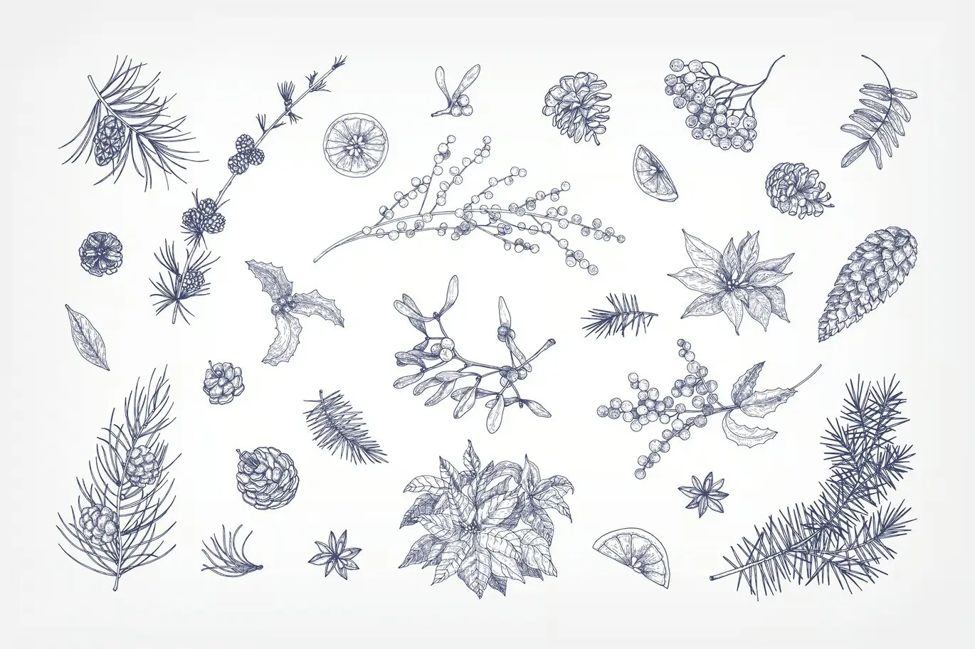 Winter plants, hand drawn set + seamless patterns 14 winter plants hand drawn set seamless patterns03