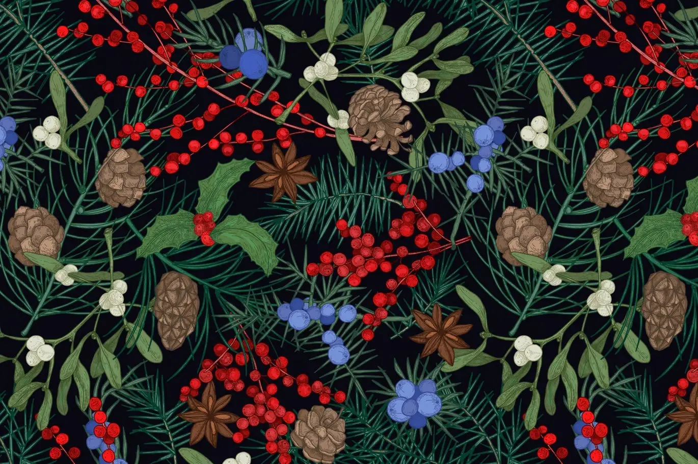 Winter plants, hand drawn set + seamless patterns 8 winter plants hand drawn set seamless patterns10