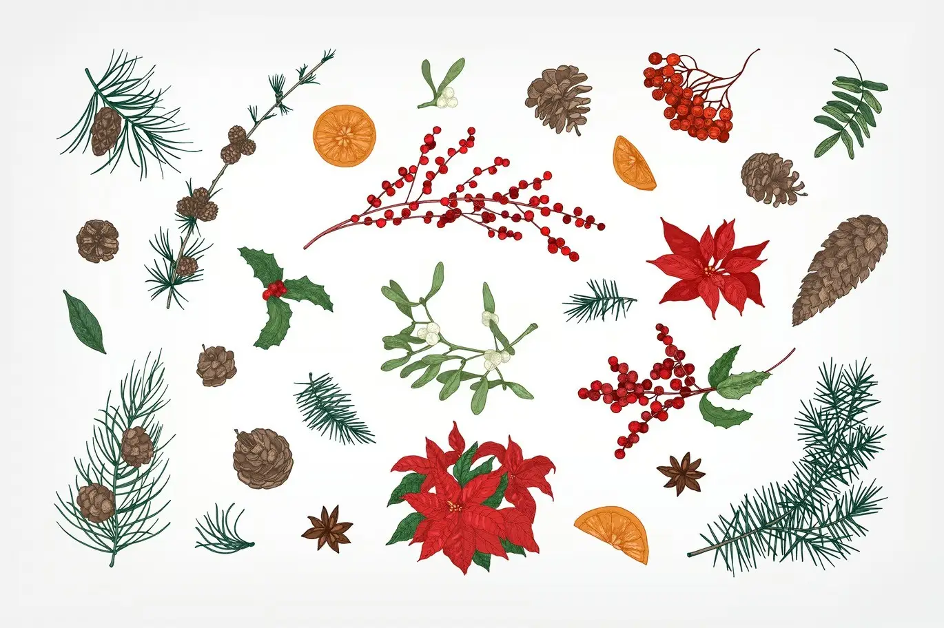 Winter plants, hand drawn set + seamless patterns 4 winter plants hand drawn set seamless patterns12