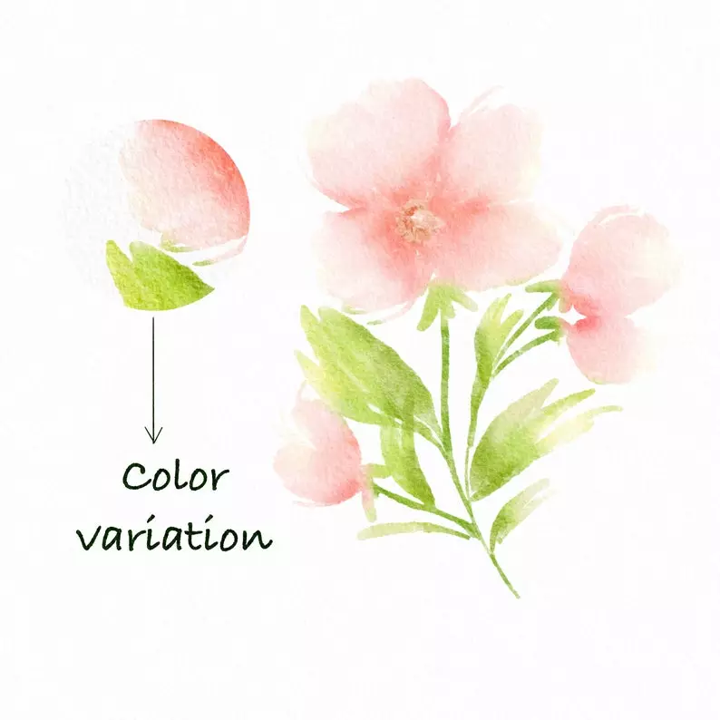 100 Floral Procreate Stamp Brushes Vol. 11 7 100 floral procreate stamp brushes vol115