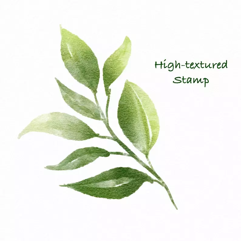 100 Floral Procreate Stamp Brushes Vol. 11 9 100 floral procreate stamp brushes vol117