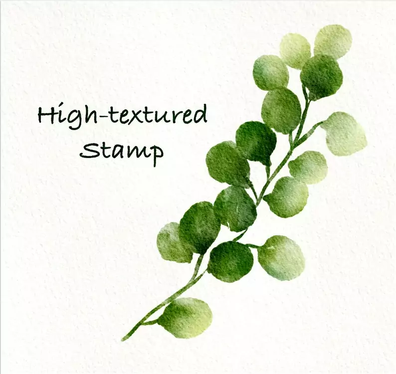 100 Floral Procreate Stamp Brushes Vol.6 8 100 floral procreate stamp brushes vol66