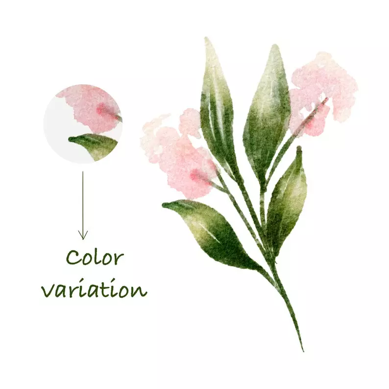 100 Floral Procreate Stamp Brushes Vol. 8 7 100 floral procreate stamp brushes vol85