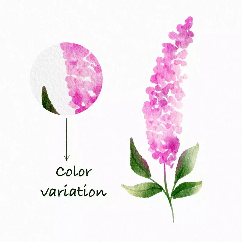 100 Floral Procreate Stamp Brushes Vol. 16 8 100floral procreate stamp brushes vol166
