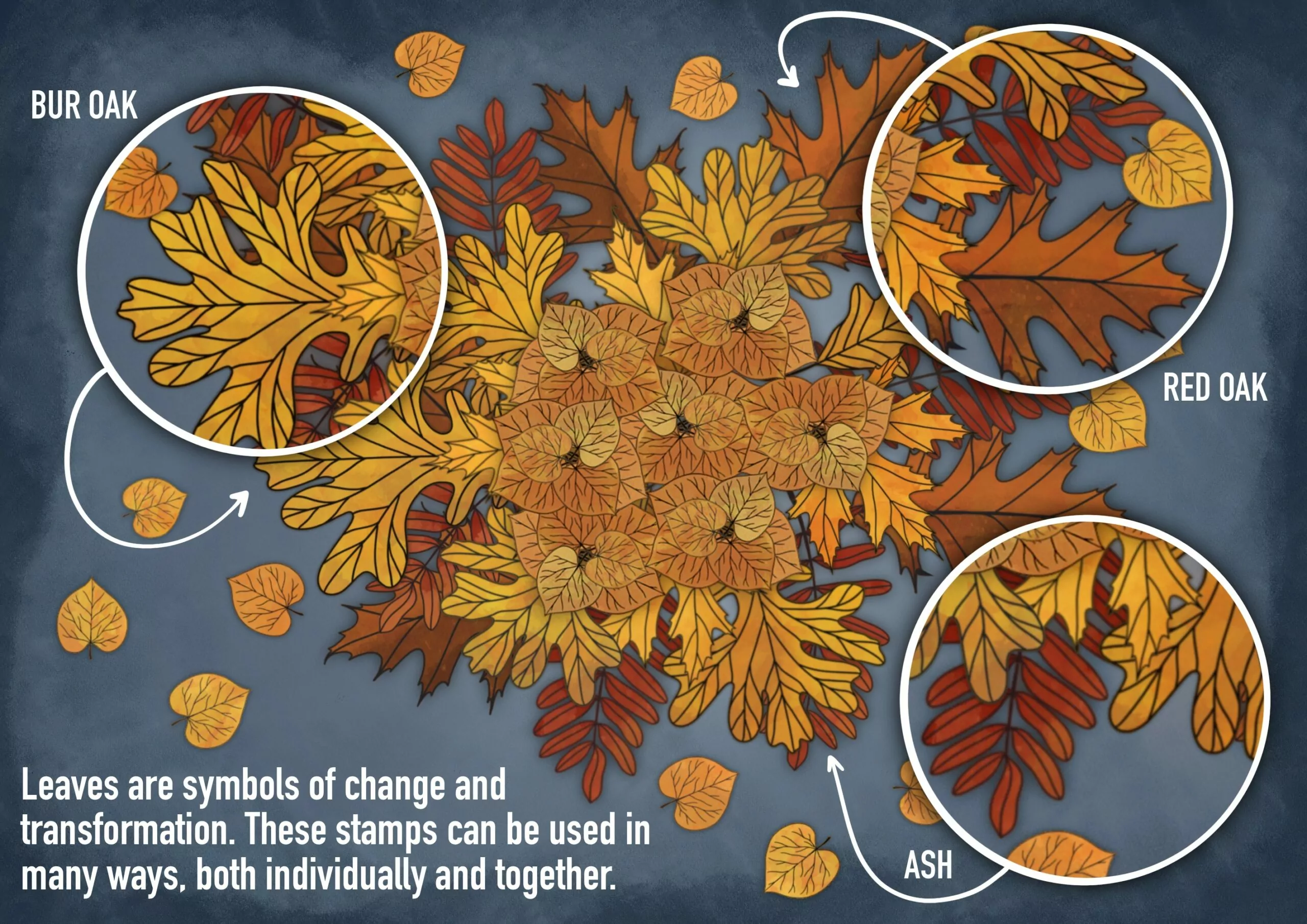 Autumn Leaves Lineart Brush Pack 5 autumn leaves lineart brush pack4