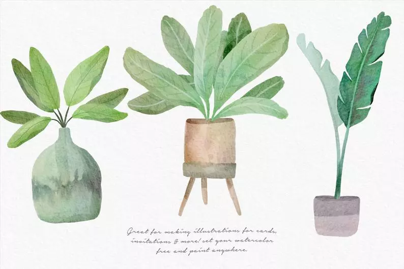 Amazing Watercolor Painting Kit for Procreate 8 amazing watercolor painting kit7
