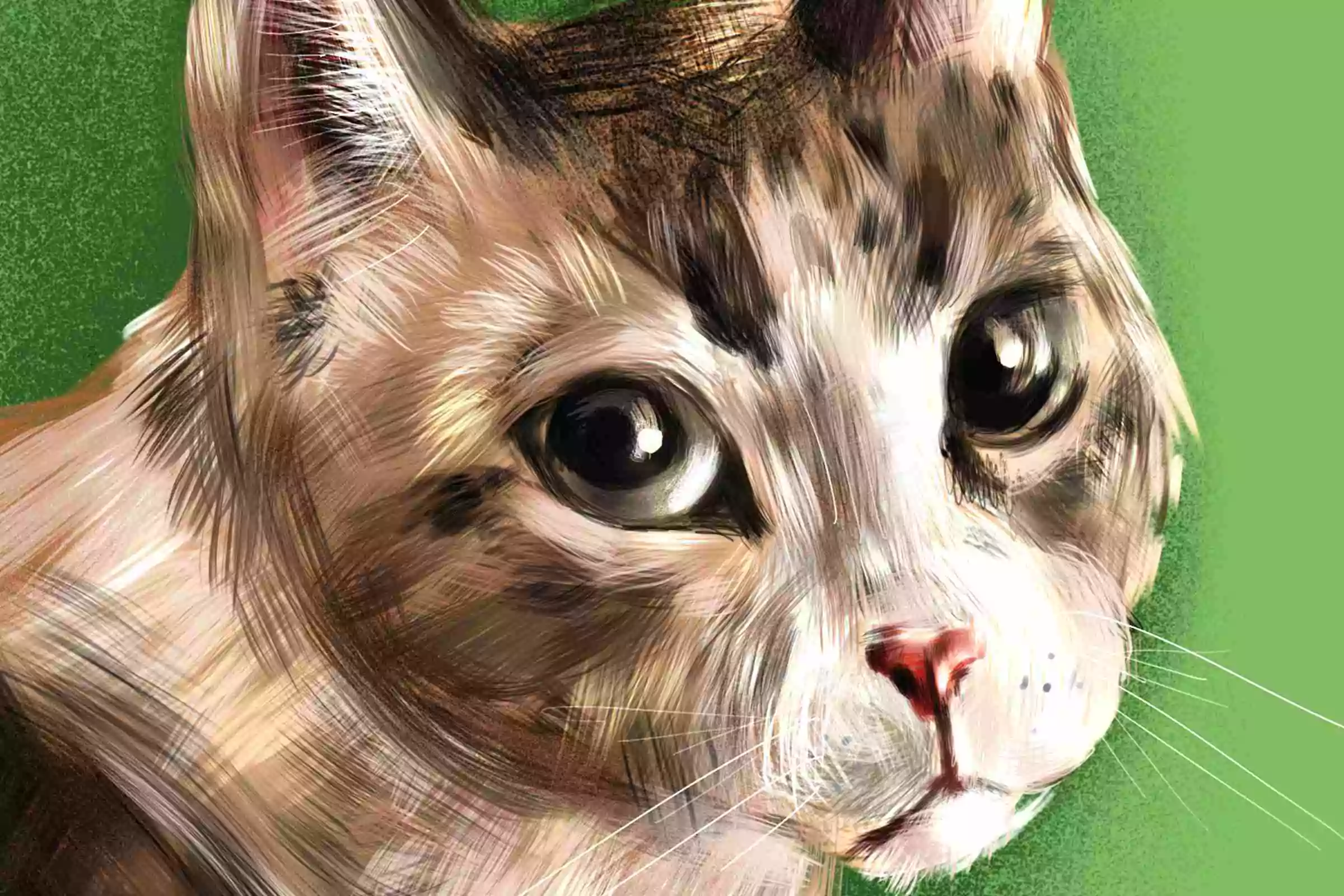 Cat Fur Brush Pack 5 cat fur brush pack4