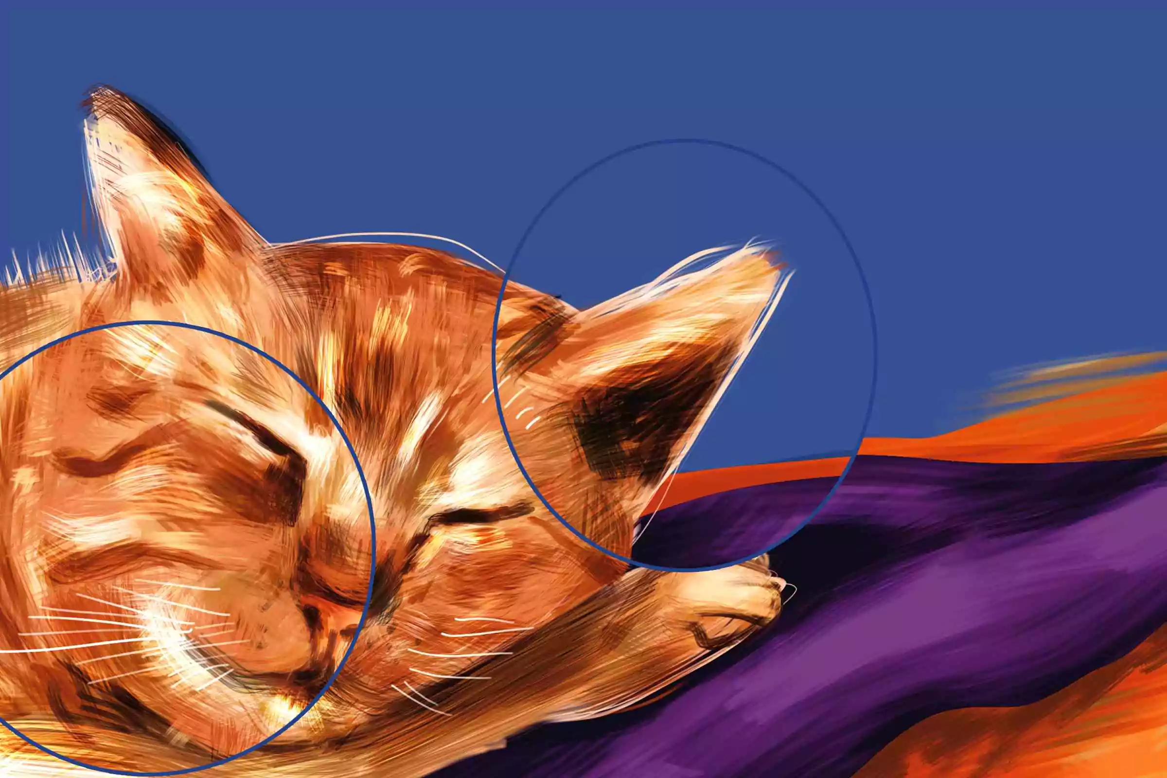 Cat Fur Brush Pack 6 cat fur brush pack5