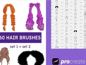 cover image 60 woman hair brush set