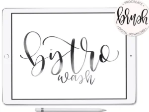 cover image bistro wash hand lettering brush