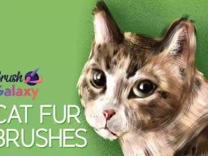 cover image cat fur brush pack