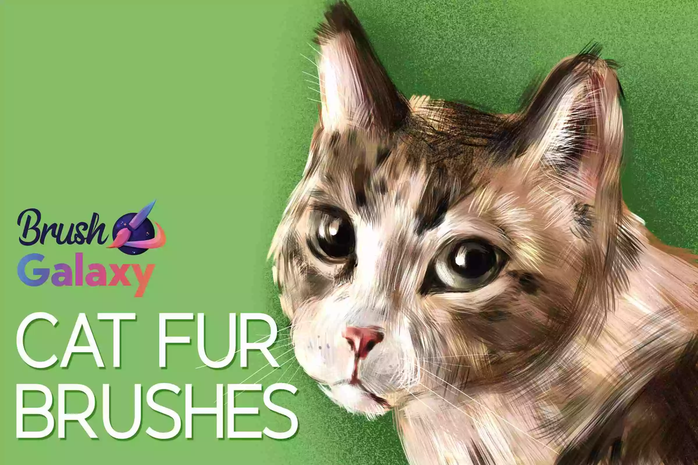 Cat Fur Brush Pack
