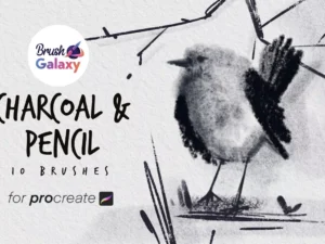 cover image charcoal pencil brush set