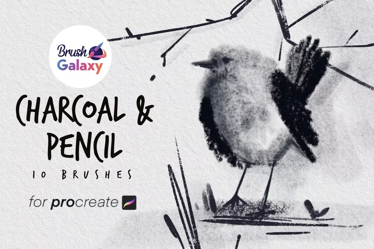 Charcoal &amp; Pencil Brush Set