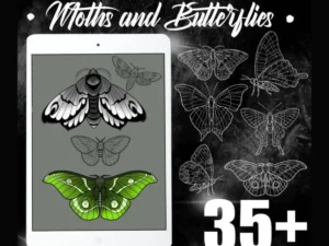 cover image moths and butterflies procreate tattoo brushes