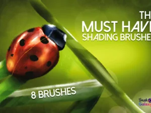 cover image must have shading brushes