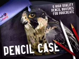 cover image pencil case brush pack