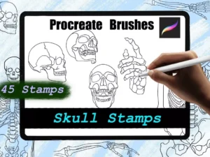 cover image procreate skull stamps