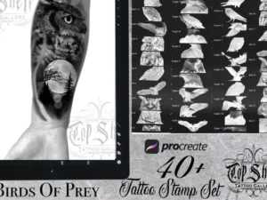 cover image procreate tattoo brushes birds of prey