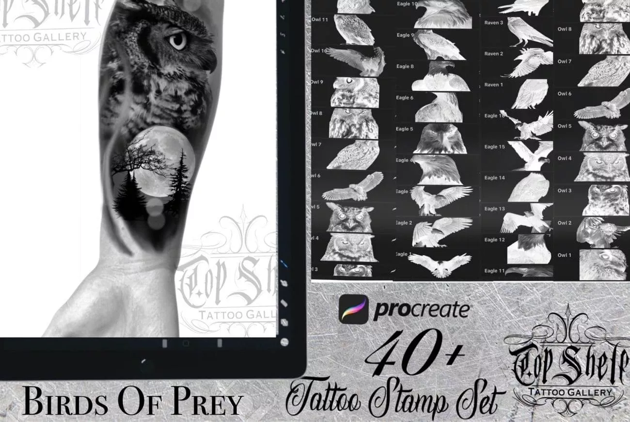 Procreate Tattoo Brushes Birds Of Prey