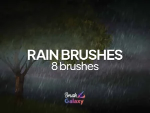 cover image rain brush set
