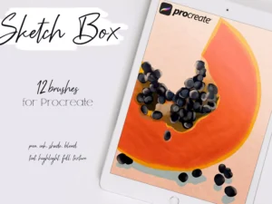 cover image sketch box for procreate