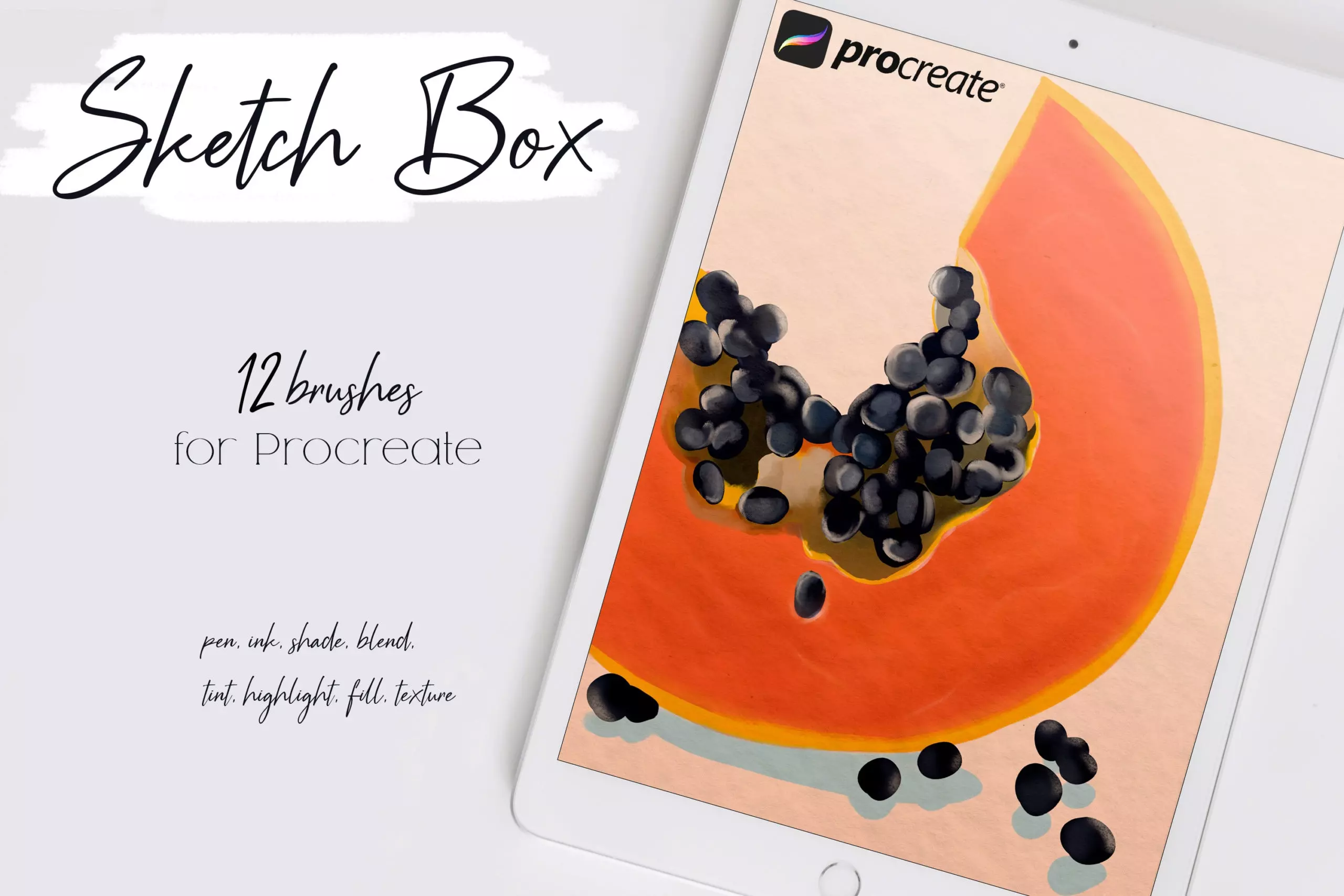 Sketch Box for Procreate