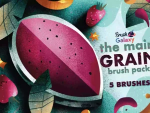 cover image the main grain brush set