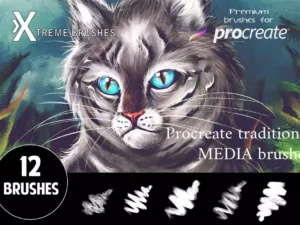 cover image traditional media brushes