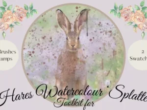 cover image watercolour splatter hares toolkit