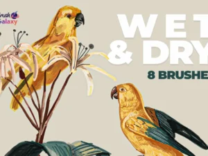 cover image wet dry brush pack vol 2
