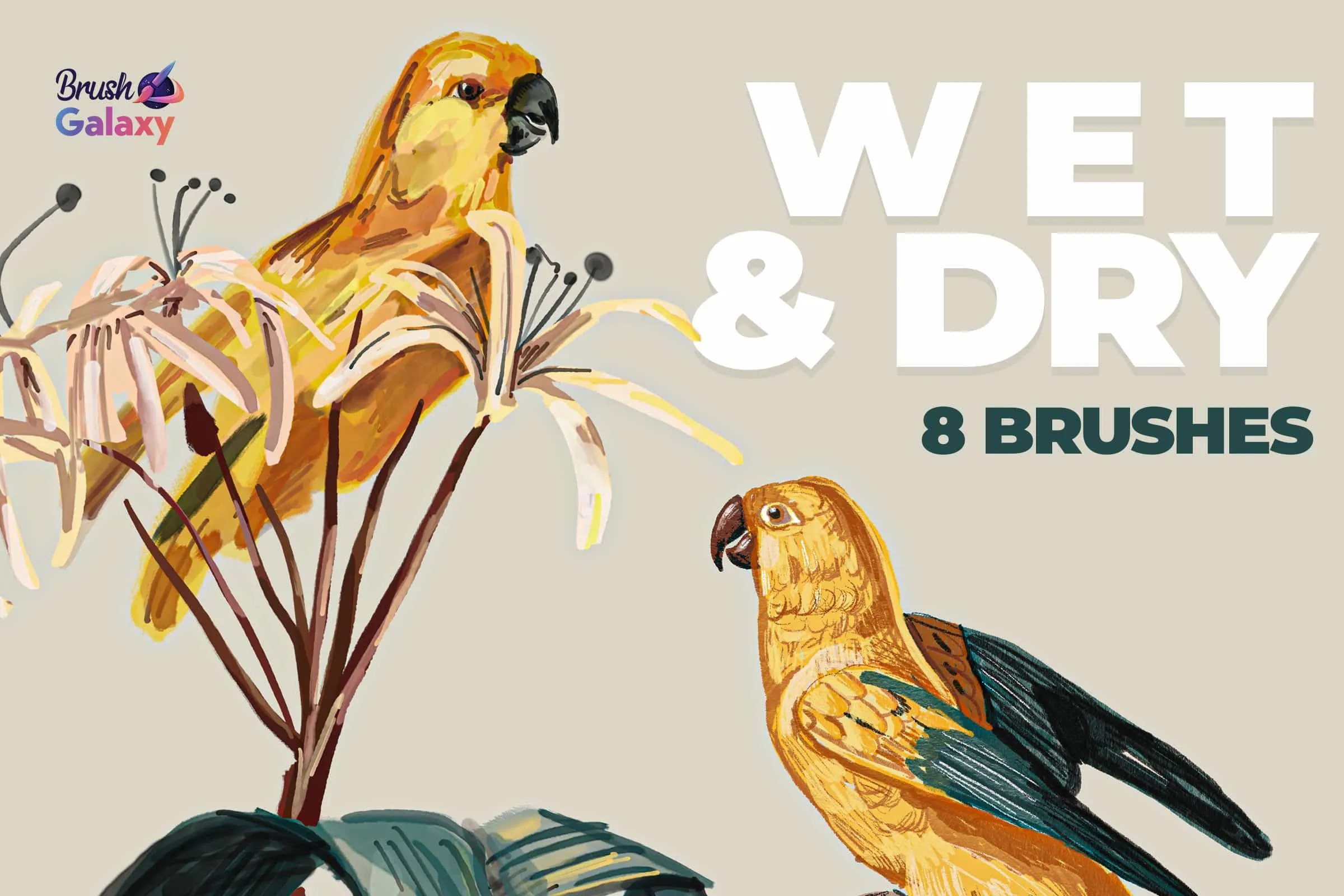 Wet &amp; Dry Brush Pack Vol 2